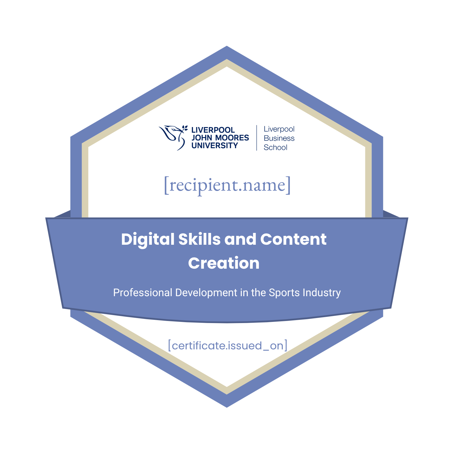 Digital Skills and Content Creation badge