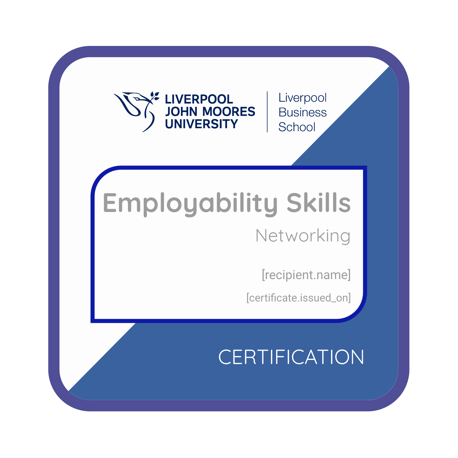 Employability ‘Networking’ badge