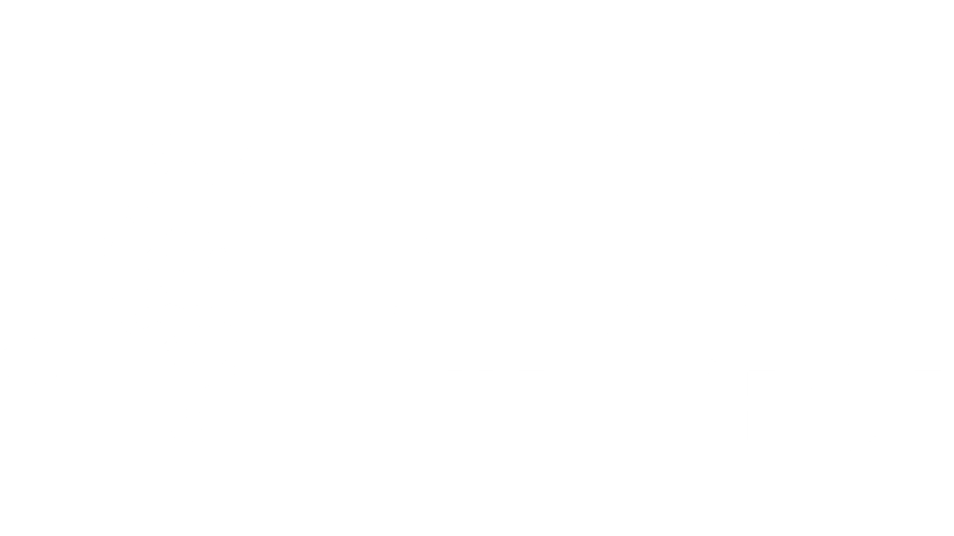 ALCON Intelligence Ltd logo