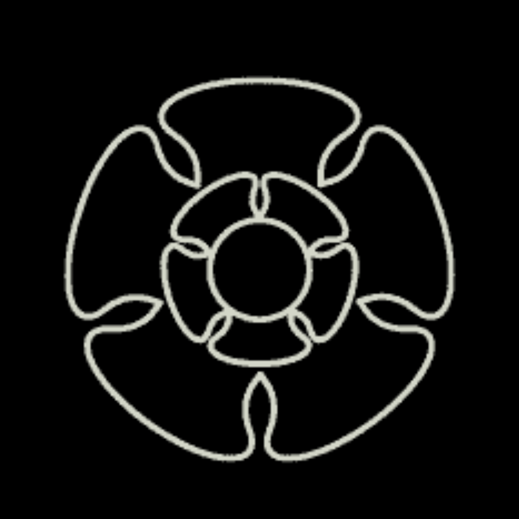 ALCON Intelligence Ltd logo