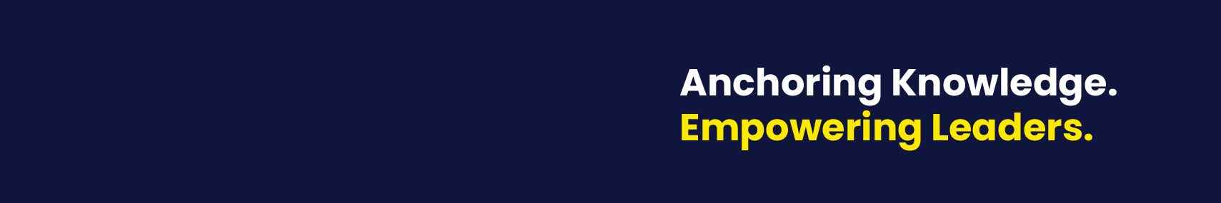 Anchor Institute banner