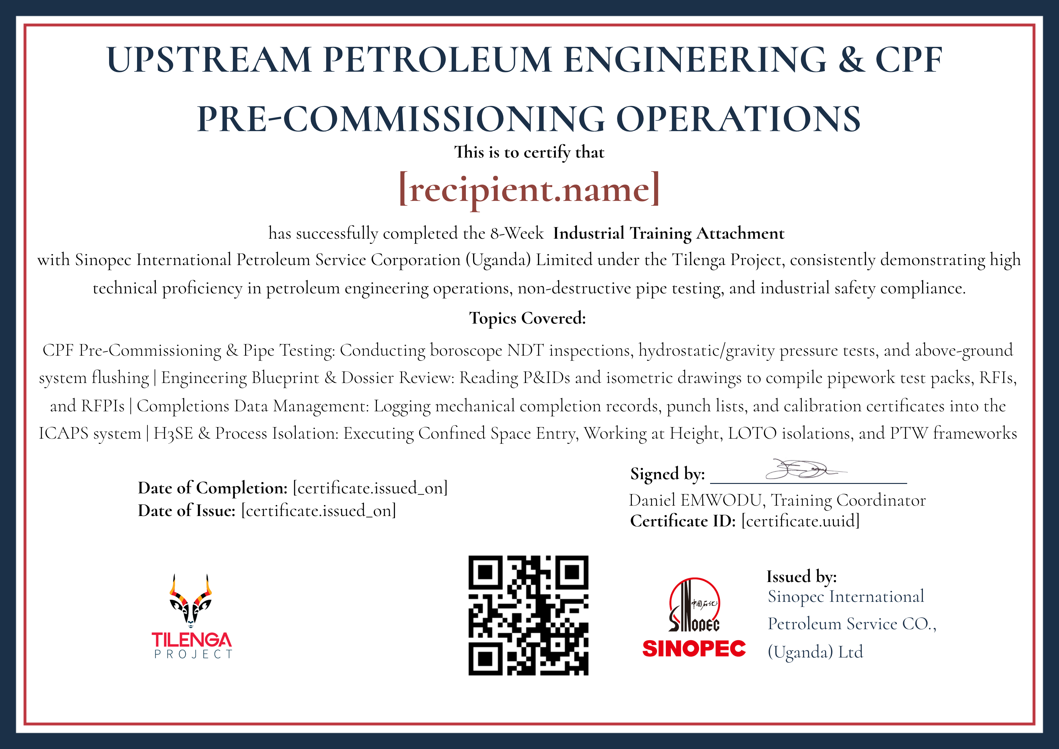UPSTREAM PETROLEUM ENGINEERING & CPF PRE-COMMISSIONING OPERATIONS