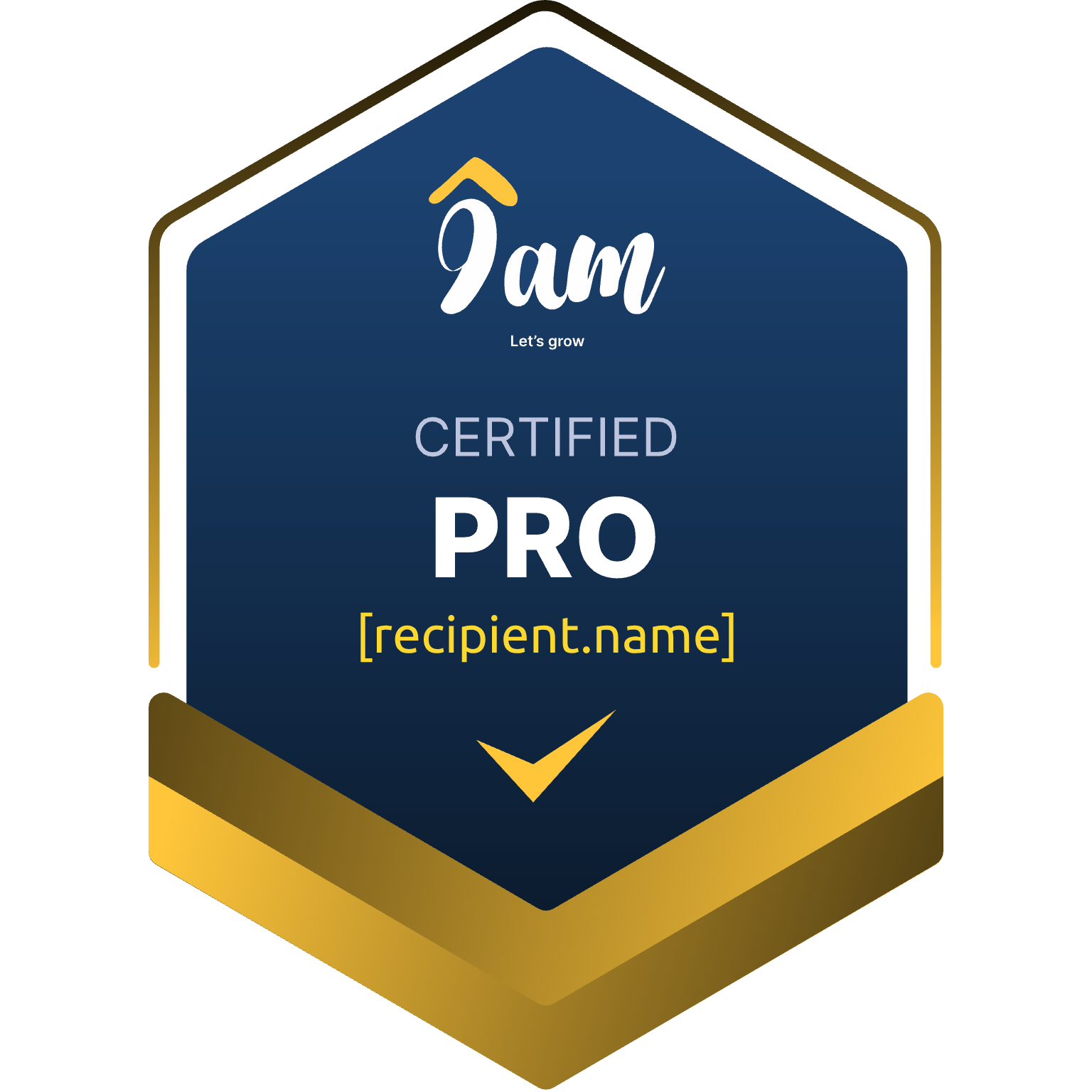 9am Pro badge
