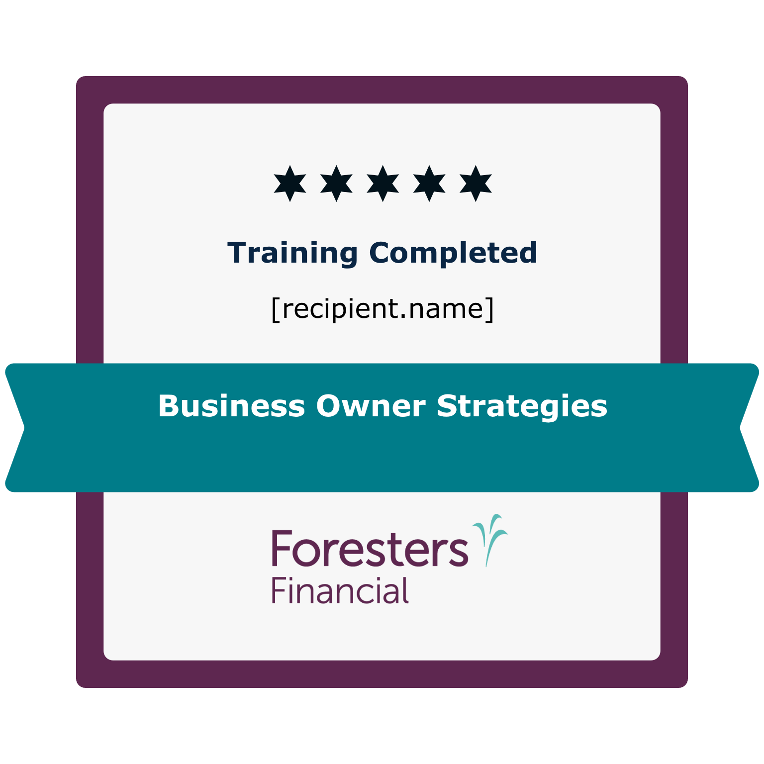 EN - Business Owner Strategies