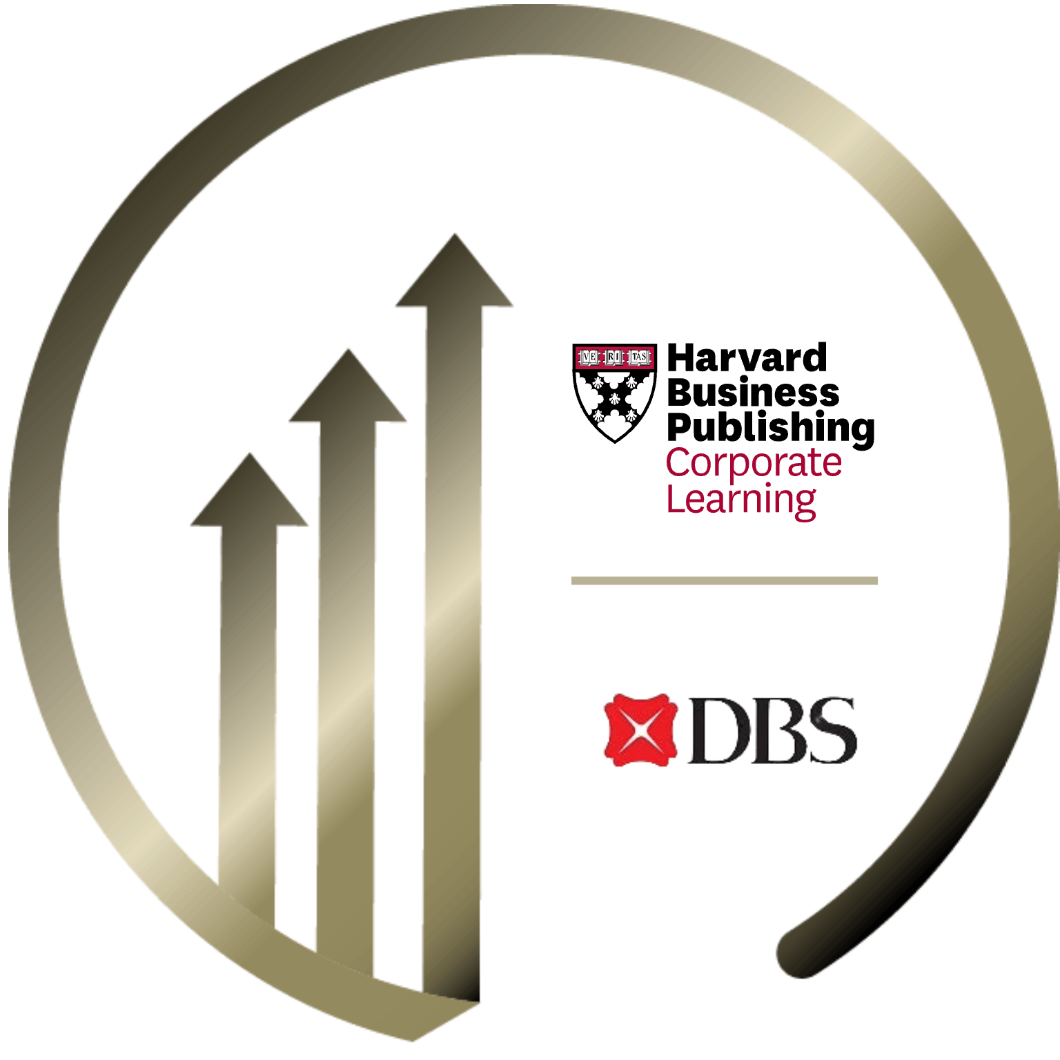 HBP | DBS Talent Leadership Program (VP/AVP) 2025 badge