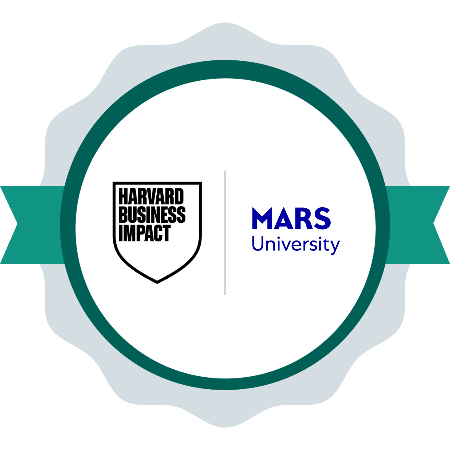Mars, Inc.: Senior Leadership at Mars Experience badge