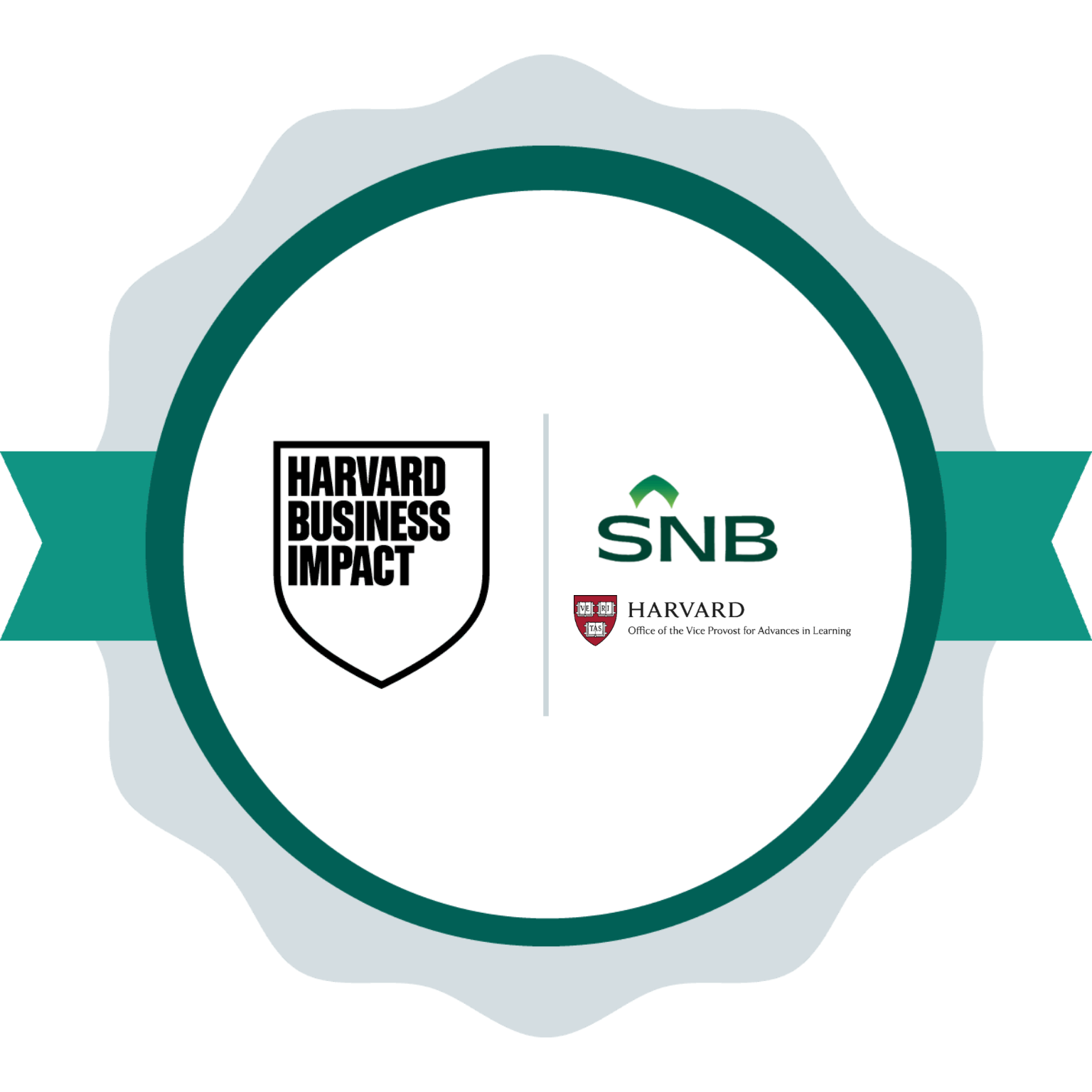 Saudi National Bank: SNB Rowad Program Cohort 15 badge