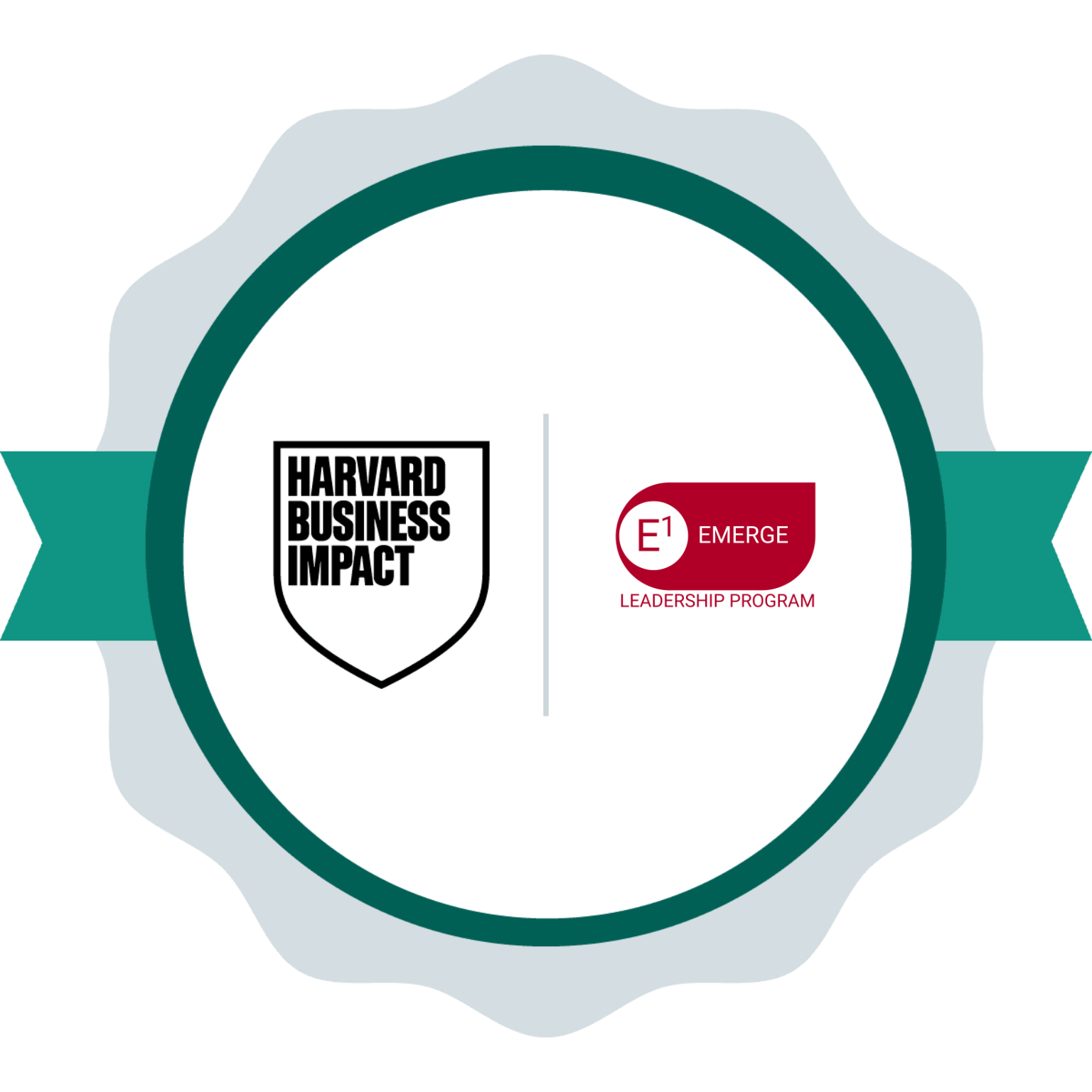 BOK Financial: E1 Emerge Leadership program badge