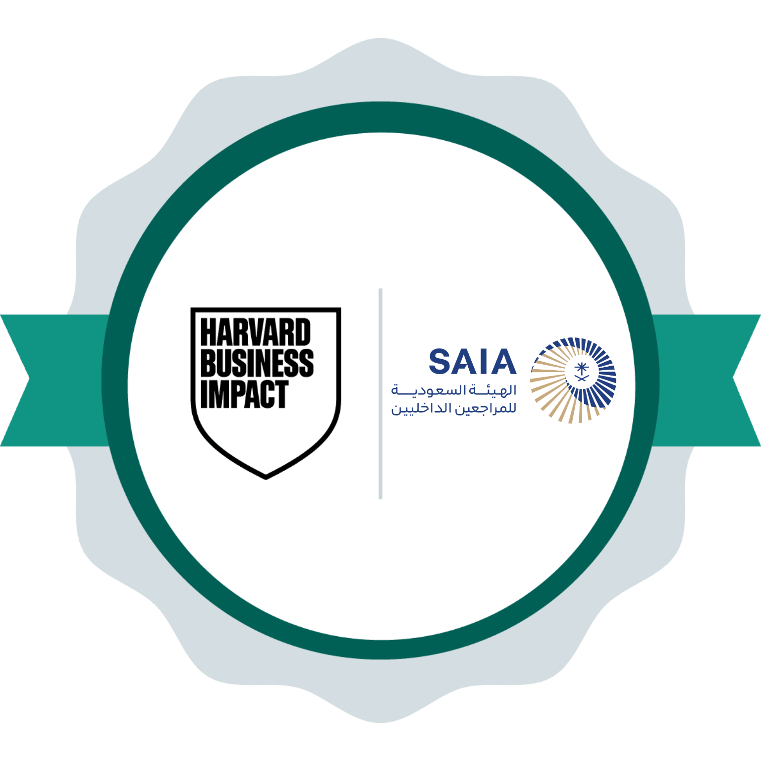 SAIA Internal Audit Program CH5 badge