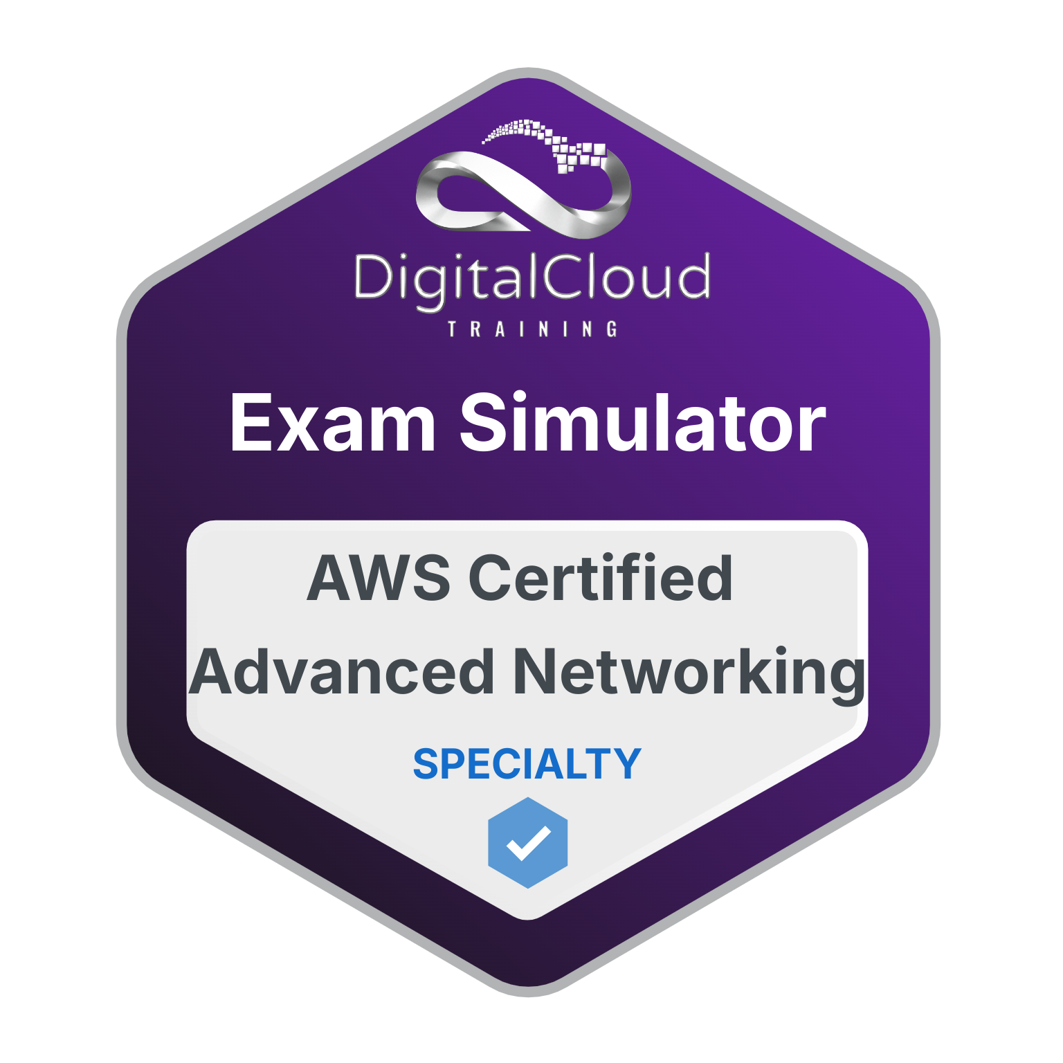 OD - ES - AWS Certified Advanced Networking Specialty