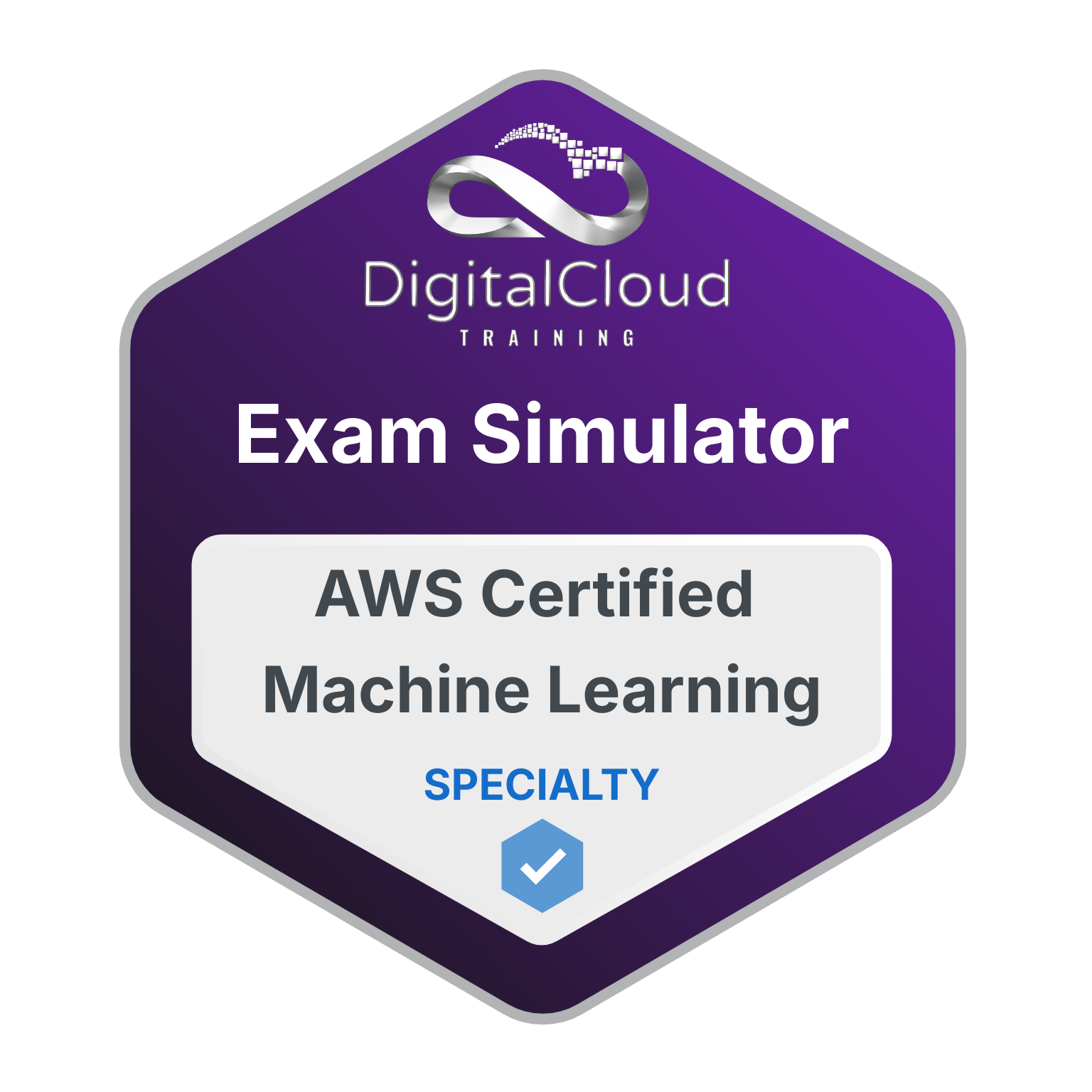 OD - ES - AWS Certified Machine Learning Specialty