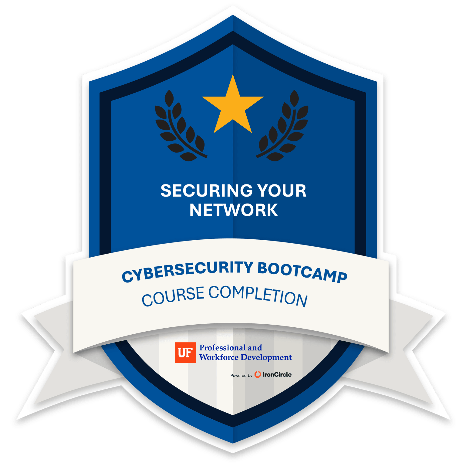 Securing your Network badge