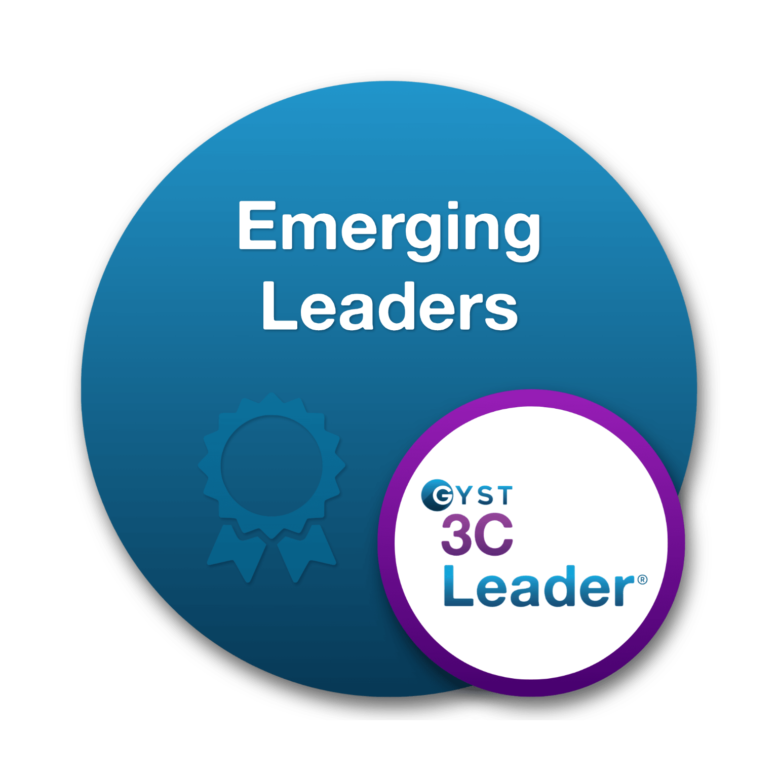 3C Emerging Leaders