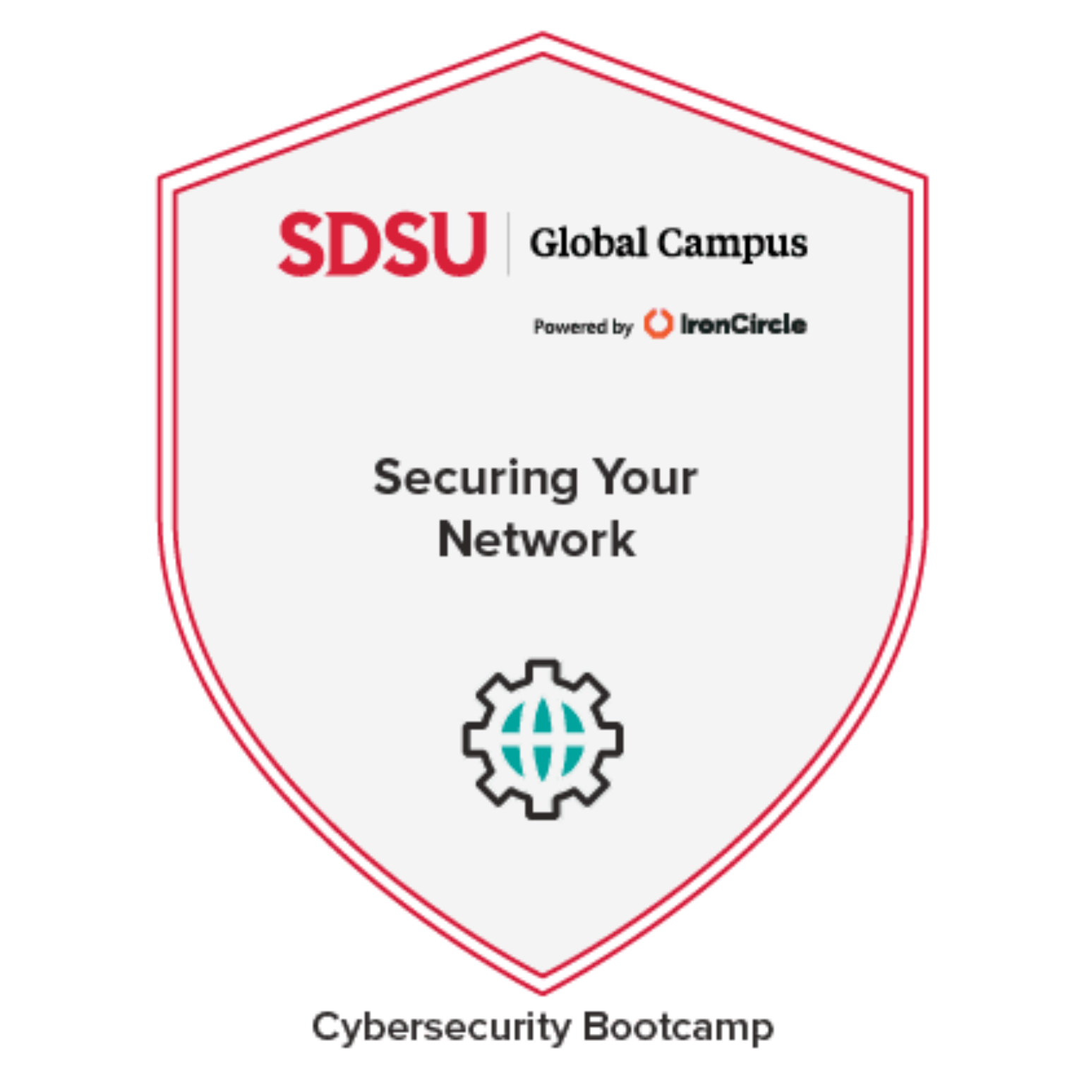 Securing your Network badge