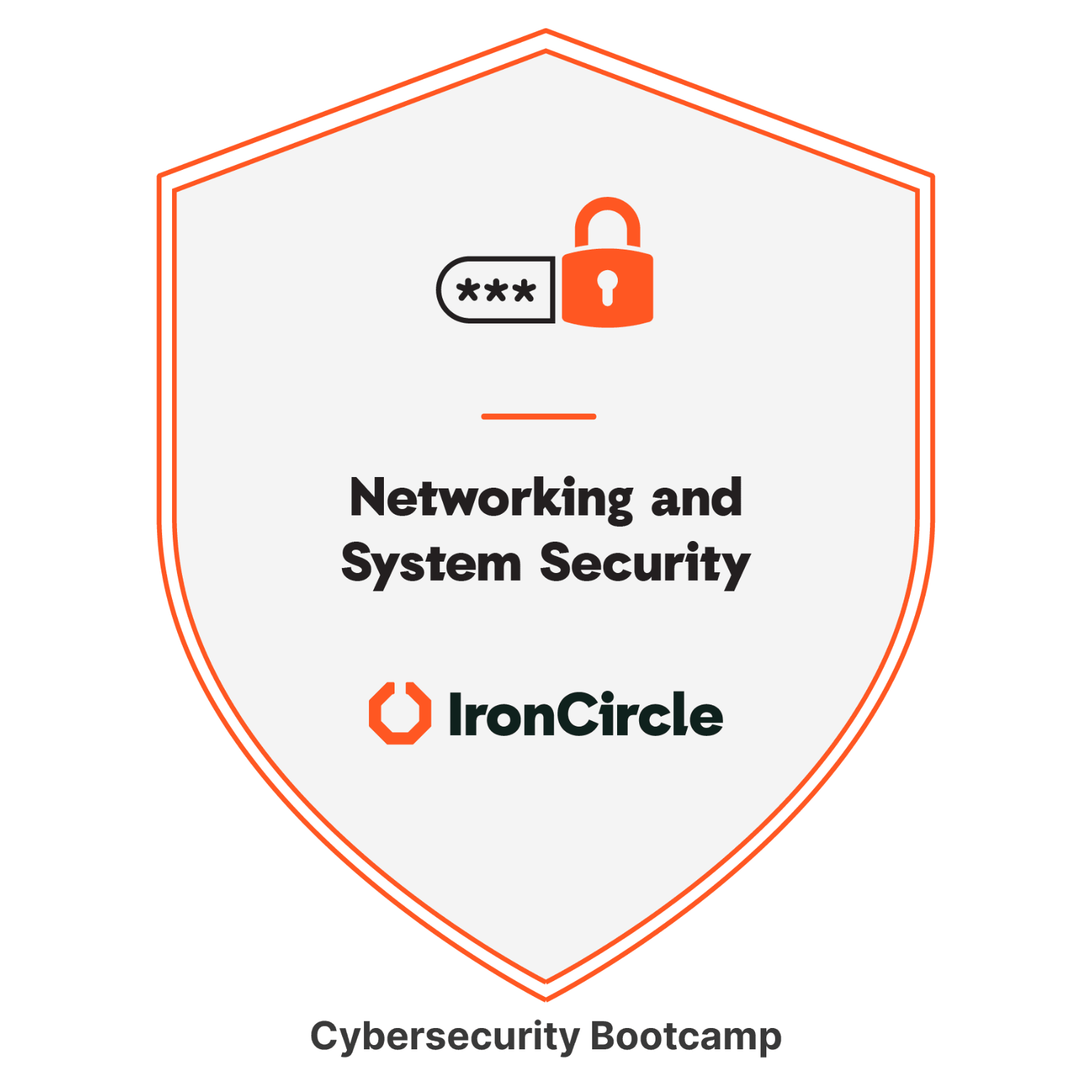 Networking and System Security badge