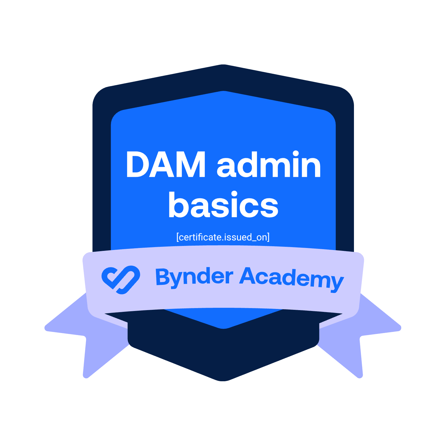 Bynder DAM Admin Basics Course badge
