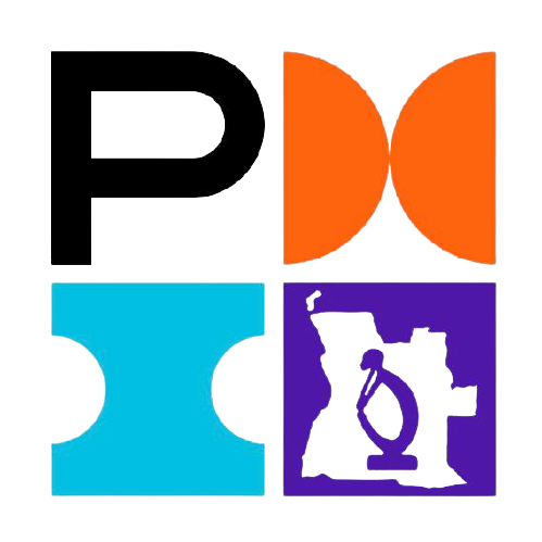 PMI Angola Chapter logo