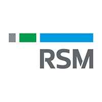 RSM Stone Forest IT Pte Ltd logo