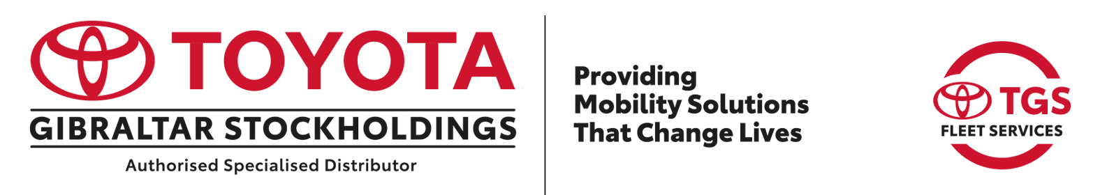 Toyota Gibraltar Stockholdings LTD (TGS) logo