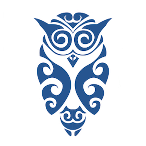 Practical CPD logo