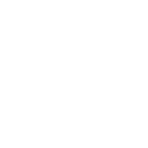 We Are The Women logo