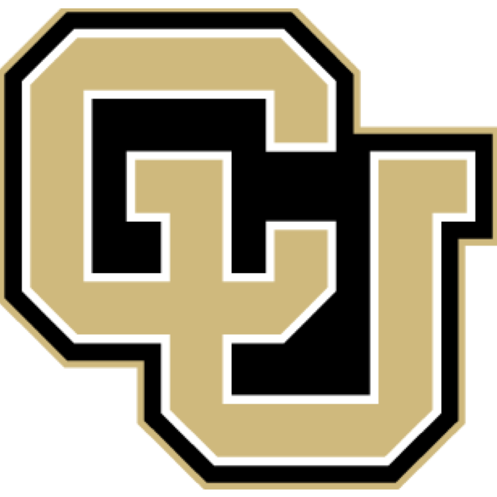 CBH Clinical Ethics logo