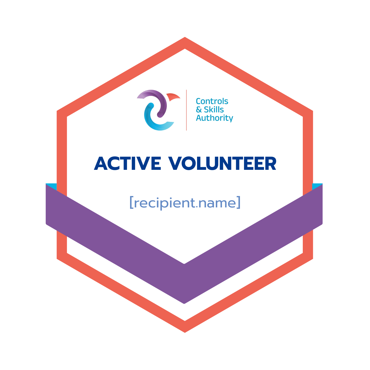 Volunteers badge